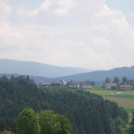 Ferienwohnung Rachel Mit Herrlichem Ausblick Rinchnach Экстерьер фото